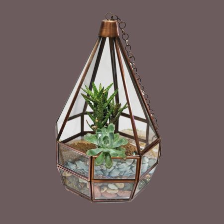 Cone Tower Terranium Container