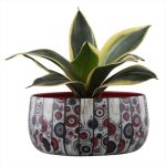 WhatsApp Image 2025-03-06 at 12.26.48 PM