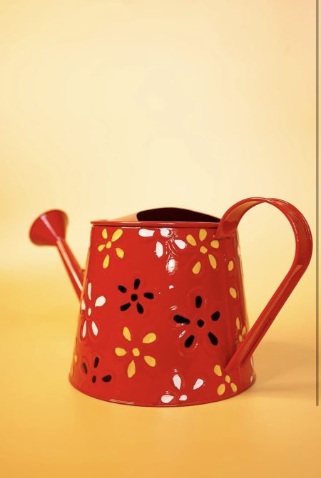 Watering Can Rust Free (Multicolour)