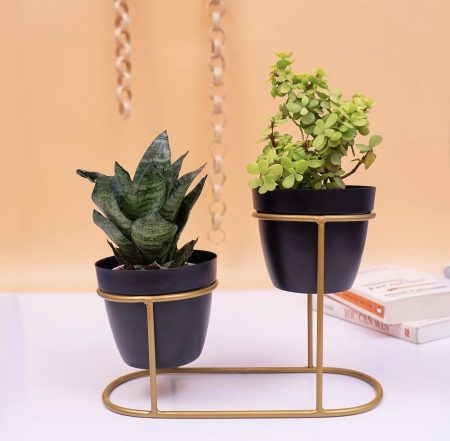 Dual Stand Metal Planter