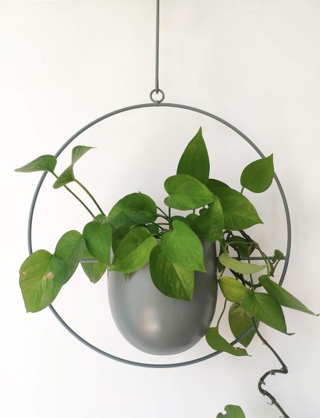 Hanging Metal Planter